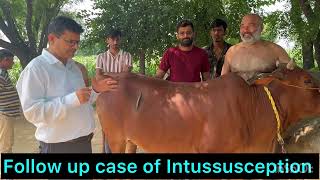 Follow up case of Intussusception l Bloat l tympani l dr Umar khan [upl. by Einahets]