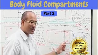 Body Fluid Compartments  IV Fluids  Types amp Uses Part 2 [upl. by Bobbi]