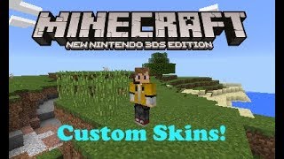 Minecraft New 3DS V14  Custom skins tutorial CFW [upl. by Yrrot]