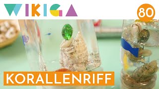 KORALLENRIFF  WIKIGA  Wie im Kindergarten [upl. by Engracia]