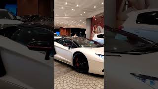 Lamborghini Dubai supercars spotted youtubeshorts enjoy supercar supercarlovers [upl. by Isidore170]