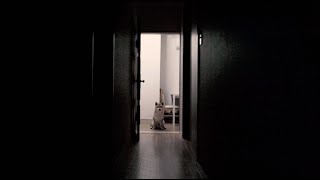 THE DOG  Best Horror Short Films of 2022 [upl. by Iarised688]