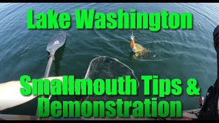 Lake Washington Smallmouth Bass Fishing Tips amp Demo [upl. by Egidio]