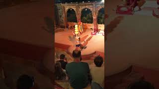 Rajasthan Traditional Dancedance traditional shortvideo viralvideo trending [upl. by Ellmyer]