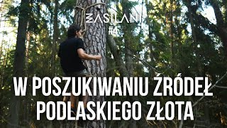 U źródeł podlaskiego złota Puszcza Augustowska Zasilani 4 [upl. by Letnohc]