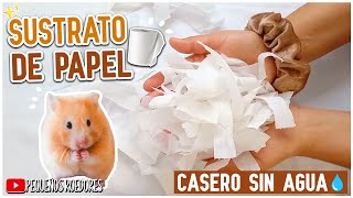 Como HACER SUSTRATO para HAMSTER CASERO SIN AGUA 🐹💧 [upl. by Goldner]