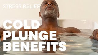 The Benefits of Cold Plunging – Stress Relief [upl. by Alviani]