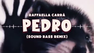 Pedro Sound BASS Remix 1H [upl. by Noreh]