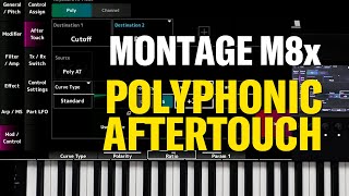 Montage M8x polyphonic aftertouch [upl. by Elle]