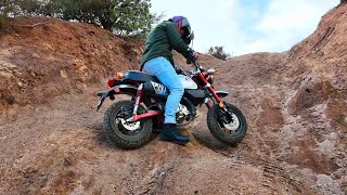 Honda Monkey EXTREME Off Road Test [upl. by Litha47]