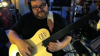 Godin A5 Ultra Fretless Review 2 [upl. by Ericka]