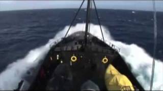 Operation Migaloo  200708  Sea Shepherd Whale Defense [upl. by Lerrud]