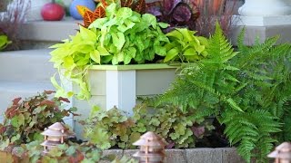 How to Build a Planter Box for Curb Appeal [upl. by Yentrok]