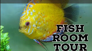 Terrys Fish Room Tour [upl. by Nert609]