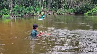 Pescando con arpón robalos y cocinando aventura de pesca por hermoso rio [upl. by Gmur]