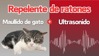 Ruido repelente de ratones  Maullidos de gato y ultrasonido hacen huir a los ratones [upl. by Fermin]