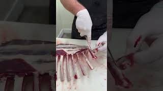 Cutting Elk Tomahawk Chops Part 2 🔪🥩 See the last video for Part 1 shorts elk butcher [upl. by Shapiro]