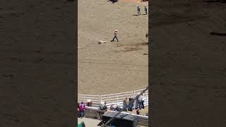 Calgary Stampede Rodeo  5Jul24 [upl. by Margherita]