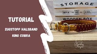 Paracord Zugstopp Halsband Tutorial  Zugstopp King Cobra Anleitung [upl. by Azar923]