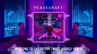 Peacecraft  Welcome to the Future Matt Hodges Remix [upl. by Gnak]