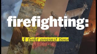 firefighting a fight against time [upl. by Lawrence]