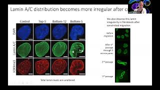 Alterations in Spatial Genome Compartmentalization Associated with Constriction and Expansion [upl. by Liahcim]