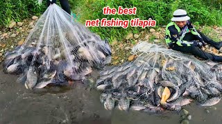 the best net fishing Tilapia  collection of the best mesh videos [upl. by Ramsdell]