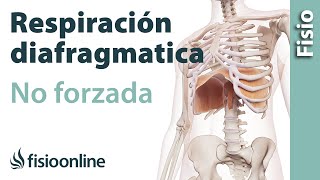 Respiración diafragmática o abdominal no forzada [upl. by Palla]