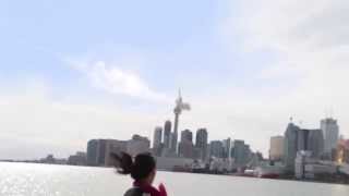 Meteor hits CN Tower Toronto [upl. by Ahseem]