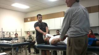 Shoulder Dislocation Hippocratic Method  Tom Demo [upl. by Assirram570]