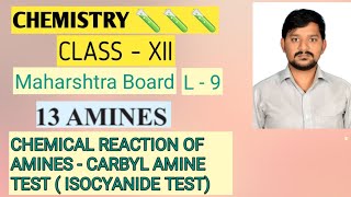 Amines  CHEMICAL REACTION CARBYL AMINE TEST  XII  Lect9  New Syllabus Sovind Sir [upl. by Akeimat]