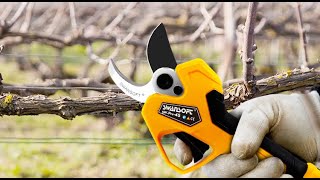 SWANSOFT 45MM 25V Electric Pruning Shears  2023 Highend series 【SWPru45】 [upl. by Idham789]