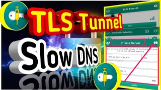 Setting Up Slow DNS with TLS Tunnel VPN A StepbyStep Guide [upl. by Demona]