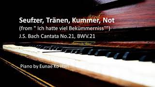 Seufzer Tränen Kummer Not from Cantata No 21– JS Bach Piano Accompaniment [upl. by Tillio894]