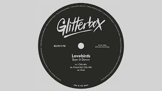 Lovebirds  Burn It Down Extended Club Mix [upl. by Wolk588]