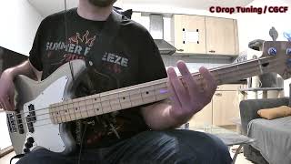 Linkin Park Lost  Bass Cover [upl. by Zucker545]