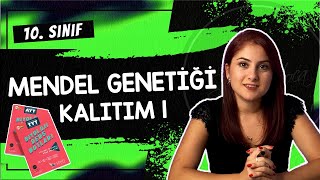 8 MENDEL GENETİĞİ  KALITIM 1  10 SINIF  TYT BİYOLOJİ DERS NOTLARI  2024 [upl. by Laurianne]