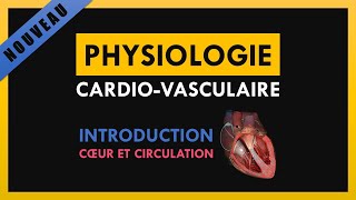 Physiologie CardioVasculaire  Introduction  Cœur et circulation [upl. by Jolenta]