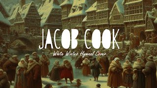 White Winter Hymnal  Fleet Foxes Cover by Jacob Cook [upl. by Elleined]