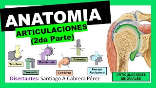 ▌ANATOMÍA ▌ARTROLOGIA 2da Parte ▌ARTICULACIONES SINOVIALES ▌DIARTROSIS Y DIARTROANFIARTROSIS ▌ 💀 [upl. by Okir]