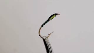 Buzzer Nymph Trout Fishing Fly Chartreuse Cheeks  FISHIN ADDICT [upl. by Obel]