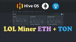 LolMiner dual mining settings eth  ton on Hiveos  2022 Mining [upl. by Aokek814]