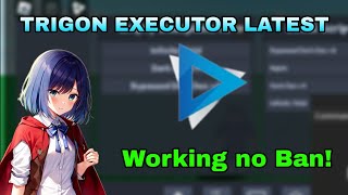 Trigon Executor Latest Version Android Working 2024 [upl. by Aeriel364]