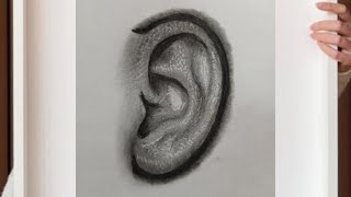 how to draw hyperrealistic ear hyperrealisticsketch hyperrealism [upl. by Ardnoel]