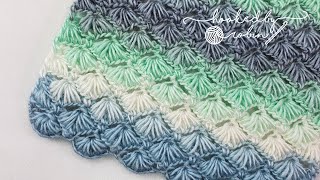 Crochet Puff Shell Star Stitch Great for Scarves or Blankets  Stunning Textured Stitch [upl. by Akinal]