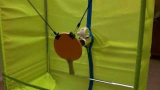 Ping pong robot home made 4 [upl. by Brenner]