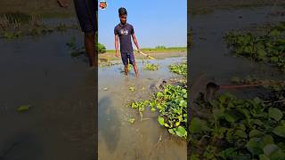 😲How to fish with arrow bowpart36 ikan busur peşte ikan shorts vairal channa [upl. by Eiger69]