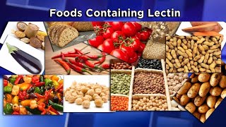 Lectins The New Diet Enemy [upl. by Pail]