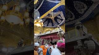 Ajmer Sharif Dargah Chatti Sharif Mubarak🌹 ajmersharif chattisharifstatus hajj shorts viral [upl. by Thorndike]