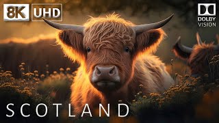 SCOTLAND 🏴󠁧󠁢󠁳󠁣󠁴󠁿 8K Video Ultra HD 60FPS Dolby Vision  Scotland 8K HDR [upl. by Loggins]